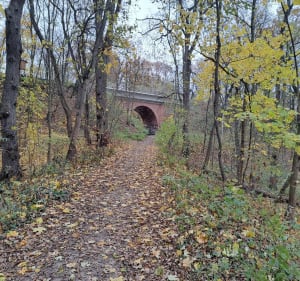 Dębina- stawy - Poznań - 2