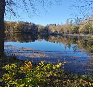 Park krajobrazowy w Bukowcu - Bukowiec - 2