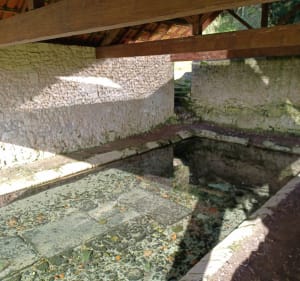 Aux bords de l'Arnoult - Pont-l'Abbé-d'Arnoult - 2