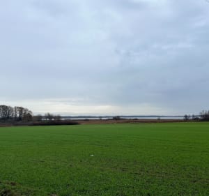 Trasa przez obszar doliny Obry - Tomasz - 2