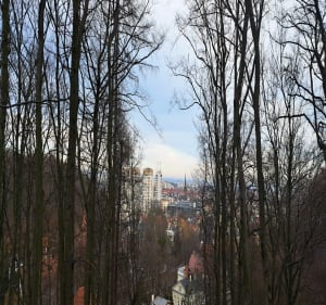 Jaśkowy las. Królewska dolina - Gdańsk - 2