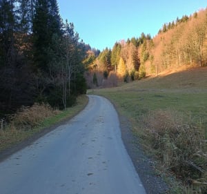 Wieża widokowa na gorcu powrot - Ochotnica Dolna - 2