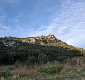 Autour du plateau de la Caume à VTT - Saint-Rémy-de-Provence - 2