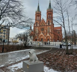 Spacer po parku w centrum - Konrad - 2