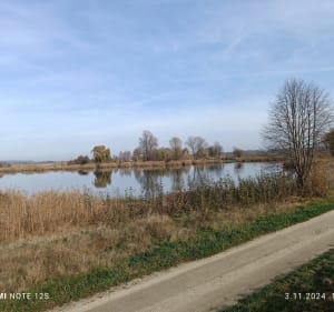 Szlakiem trzech stawów - Nowa Sól - 2