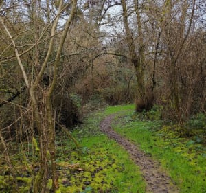 Le long de l'Adour - Saint-Sever - 2