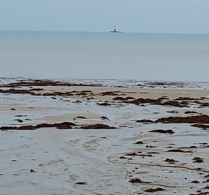 Balade sur la côte à Gouville-sur-Mer - Gouville-sur-Mer - 2