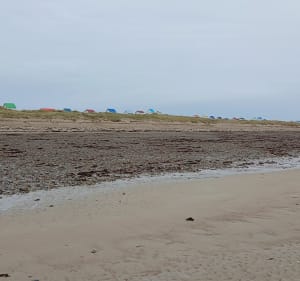 Balade sur la côte à Gouville-sur-Mer - Philippe - 3