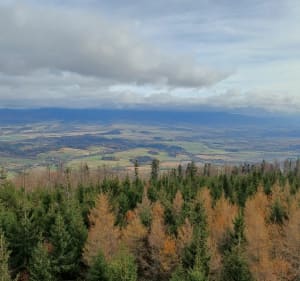Spalona-Jagodna 977m.n.p.m. trasa głęboko w przyrodzie - Michał - 4
