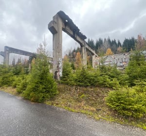 Jesienny spacer bez większych atrakcji - Iga - 3
