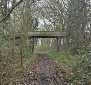 Bois de l'Epinay - Forges-les-Eaux - 2