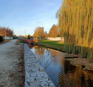 Sieradzkie parki - Michał - 2