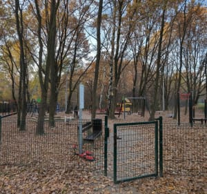 Park Aleksandry - Maciej - 3