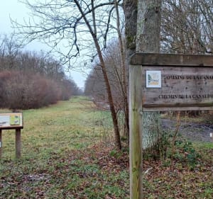 Balade champêtre à la Canaudière - Ormes - 2