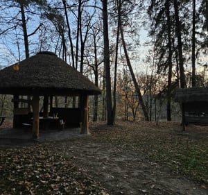 Okolice Spały i Pilicy - Spała - 2