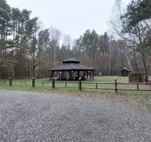 Ścieżka dydaktyczna „Dąb Dominik” w Poleskim Parku Narodowym - Łomnica - 2