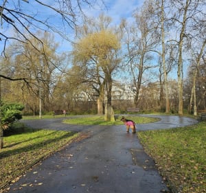 Park A. i E. Jerzmanowskich oraz Park Lili Wenedy w Krakowie - Anna - 4