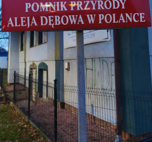 Spacer aleją dębową w Polance - Krosno - 2