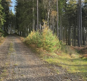 Hyncice (CZ) i miejsce na odpoczynek nad wodą - TOMASZ - 2