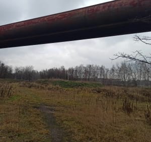 Z Koszutki przez Park Wełnowiecki i Srokowiec - Katowice - 2