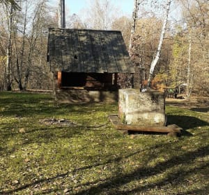 Wzniesienia Łódzkie w Lesie Łagiewnickim i dorzecze Bzury - Justyna - 3