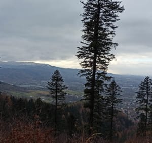 Czupel, krótka pętla z widokiem na Bielsko - Bielsko-Biała - 5