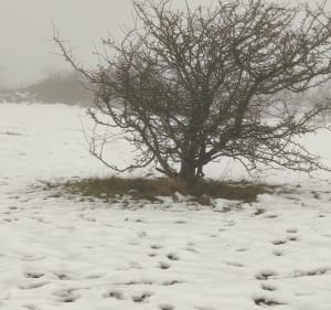 Balade hivernale à Louches - Landrethun-lès-Ardres - 2