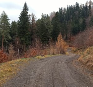 Czupel, krótka pętla z widokiem na Bielsko - Bielsko-Biała - 4