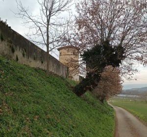 Les hauteurs du village de Saint Mamans - Rochefort-Samson - 2