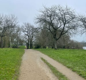 Jolie balade par le Parc Ribou et La Moine - Cholet - 2