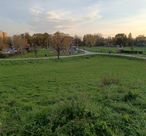 Między placami zabaw i parkami - Rafał - 4