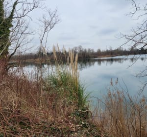 Balade autour du Lac des Allivoz depuis Herbens - Meyzieu - 2