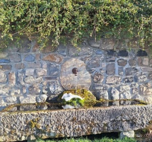 Donaze et le Suc vert - Vorey - 2