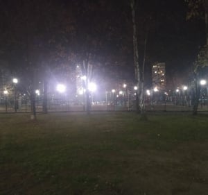 Spacer po Stegnach południowych (staw, park) - Warszawa - 2