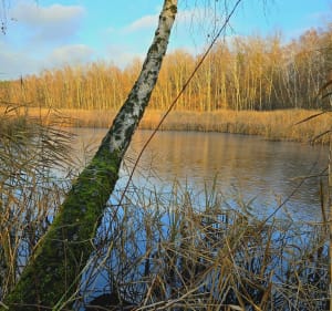 Wokół Balatonu - Sosnowiec - 2