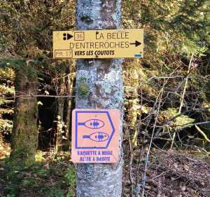 La belle d'Entreroche - Aurélie - 4