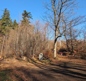 Wejście na szczyt Chełmiec - Boguszów-Gorce - 2