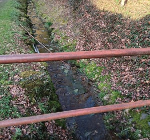 Des 4 bornes au lac de la Bergeonnerie - Joué-lès-Tours - 2
