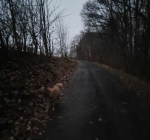 Droga na Szyszki Górę - Łukasz - 2