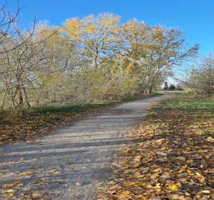 Bulwary wiślanych i prawy brzegiem Wisły - Warszawa - 2