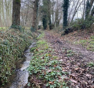 Randonnée des ruisseaux - Romillé - 2