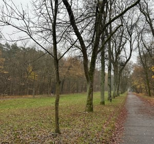 Bieganie na zdrowiu w Łodzi - Aleksandra - 4