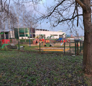 Leśne Odkrywanie: Spacer pełen natury i magii pór roku - Tychy - 2