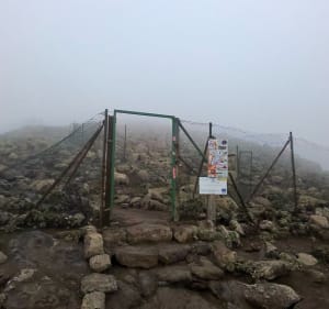 Pico de la Zarza - 2