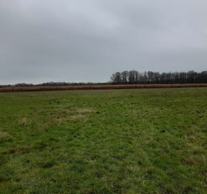 Randonnée les breviaires le perray - David - 2