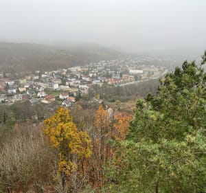 Wycieczka na punkt widokowy na Górze Markowca w Rumi - Syl - 4