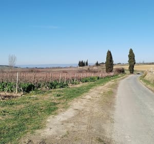 De Leuc à Couffoulens - Leuc - 2