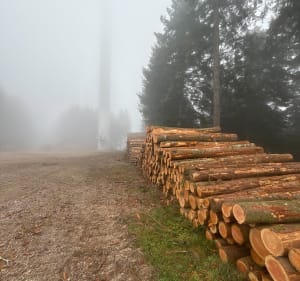 Le chemin des éoliennes. - Valsonne - 2