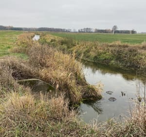 Spacer przy rzece - Kruszyn - 2