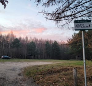Jezioro Wyspowo krótka pętla - Gniewowo - 2